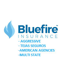 Blue Fire Insurance